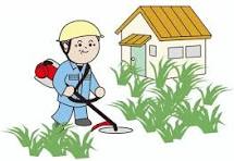 お庭の手入れ